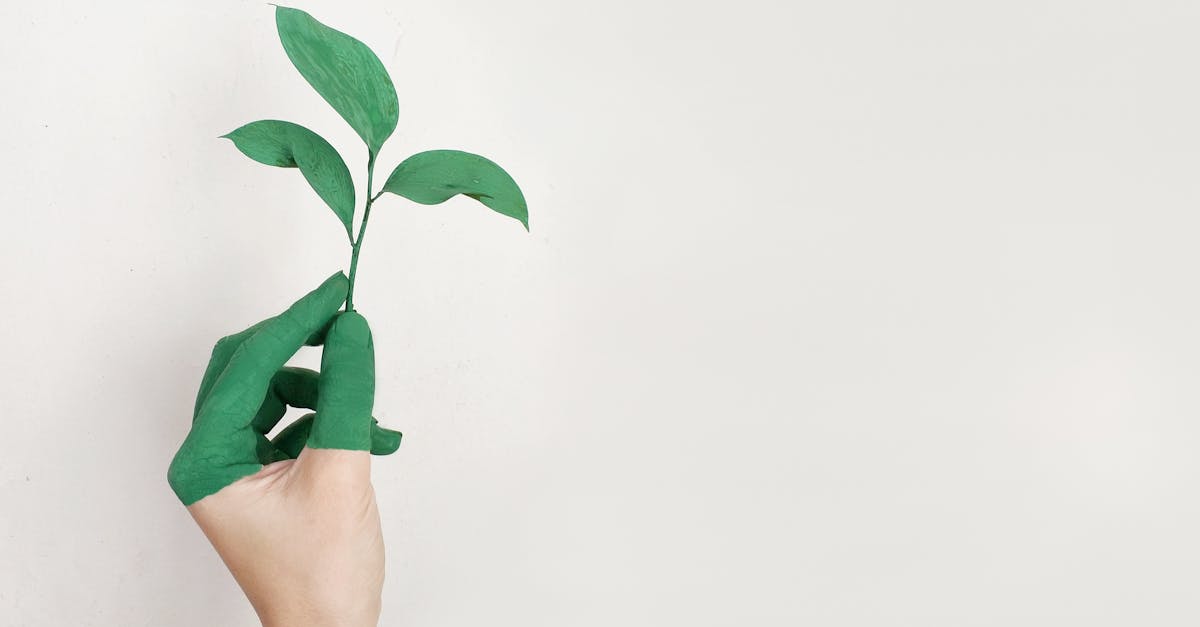 découvrez les tendances émergentes et les innovations qui façonneront notre avenir. explorez les défis et les opportunités qui nous attendent, des technologies d'avant-garde aux changements sociétaux. préparez-vous à embrasser le futur avec confiance et créativité.