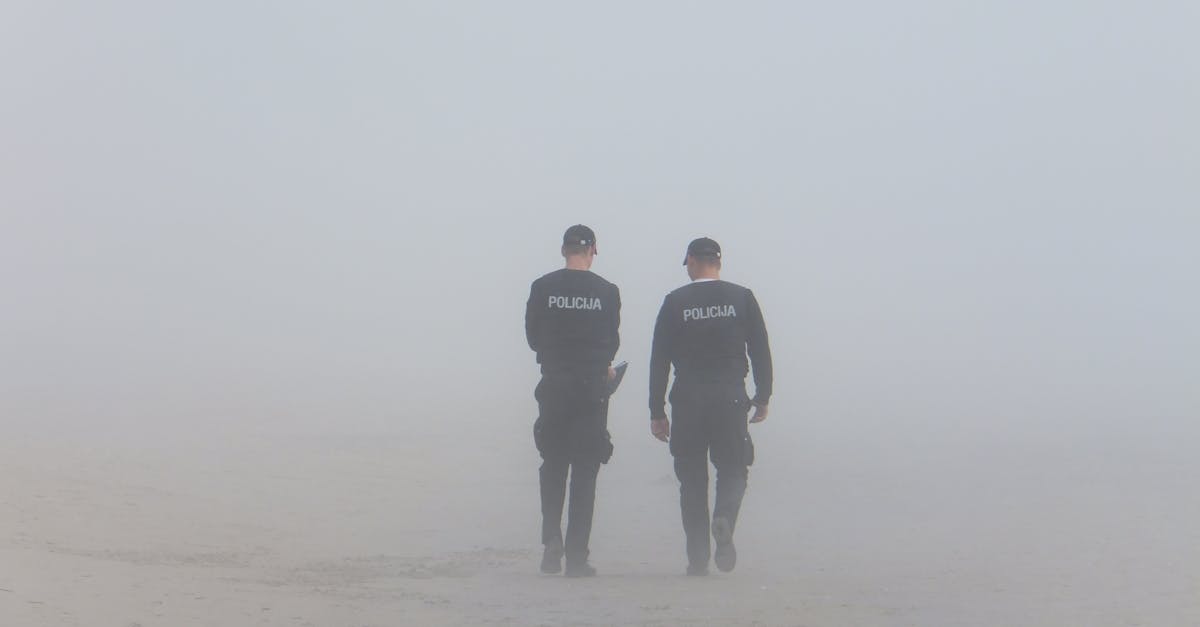 découvrez l'univers fascinant de la police française, son rôle essentiel dans la sécurité publique, ses diverses missions et le quotidien des forces de l'ordre. plongez dans les enjeux contemporains et les défis auxquels elle est confrontée.
